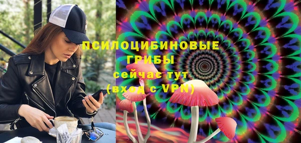 молекула духа Абинск